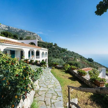 Il Nibbio Daire Piano di Sorrento Dış mekan fotoğraf