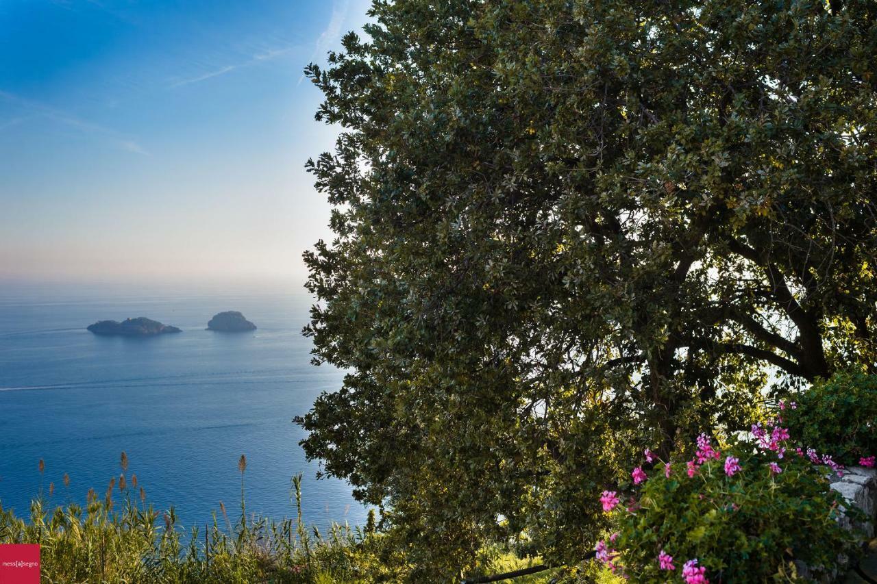 Il Nibbio Daire Piano di Sorrento Dış mekan fotoğraf