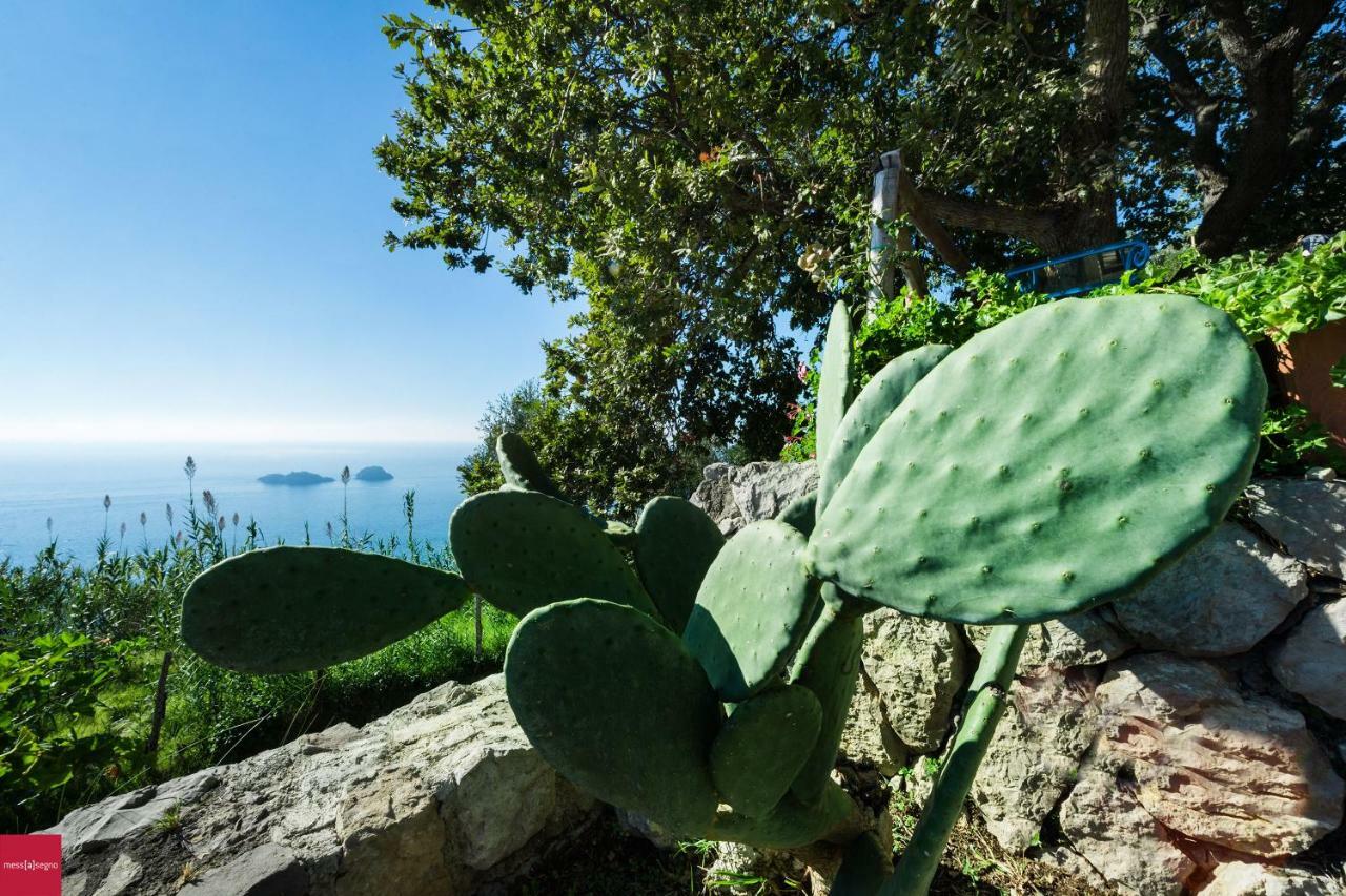 Il Nibbio Daire Piano di Sorrento Dış mekan fotoğraf