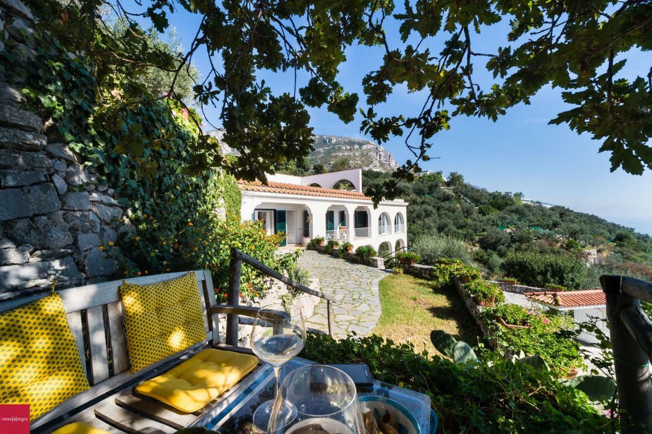 Il Nibbio Daire Piano di Sorrento Dış mekan fotoğraf