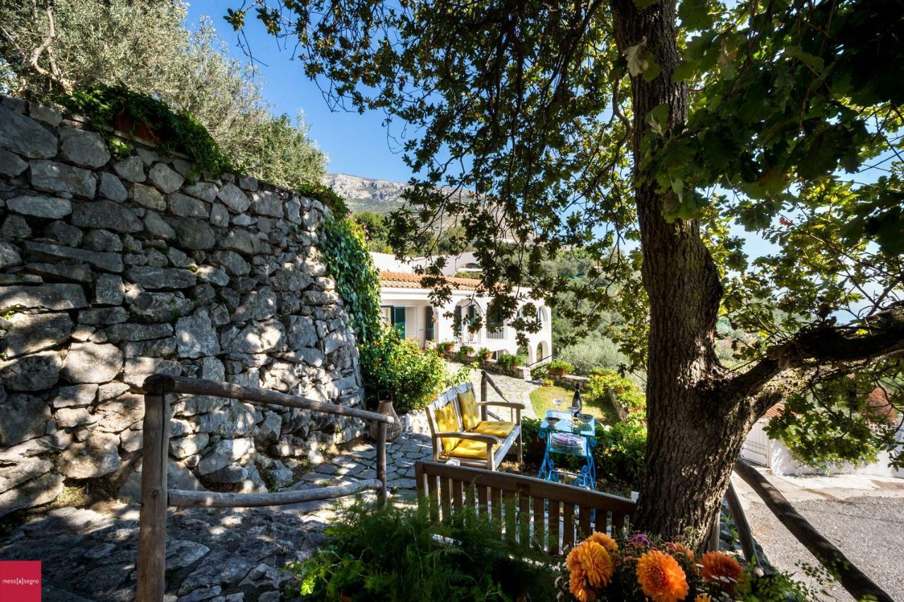 Il Nibbio Daire Piano di Sorrento Dış mekan fotoğraf