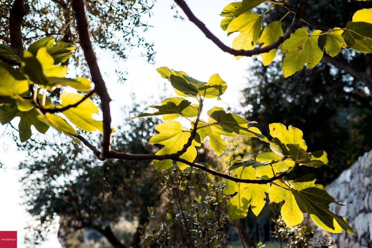 Il Nibbio Daire Piano di Sorrento Dış mekan fotoğraf