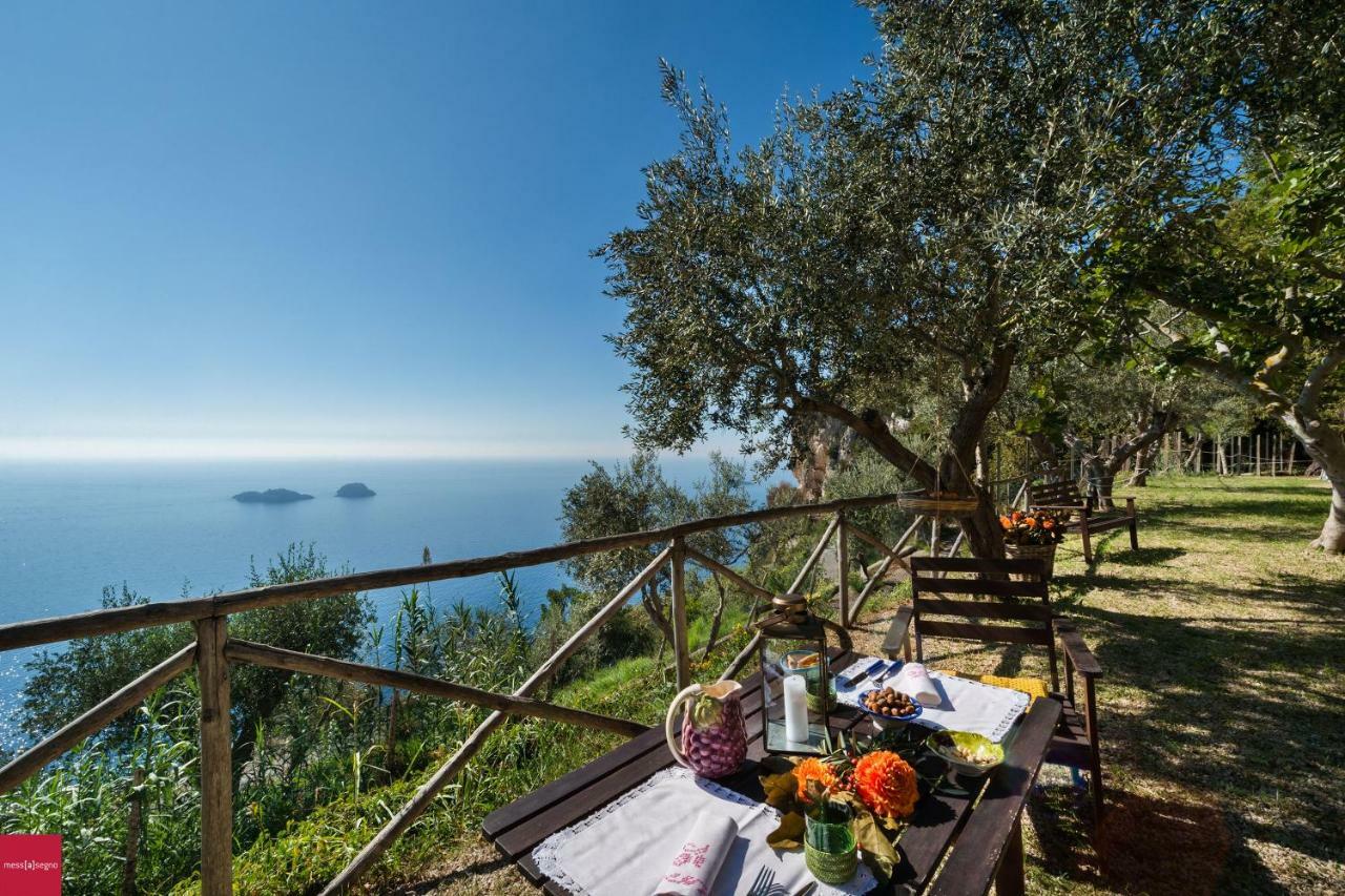 Il Nibbio Daire Piano di Sorrento Dış mekan fotoğraf