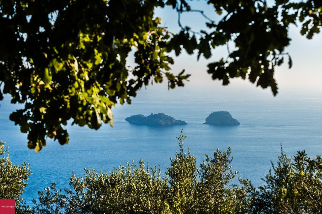 Il Nibbio Daire Piano di Sorrento Dış mekan fotoğraf