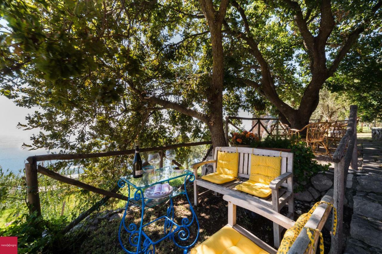 Il Nibbio Daire Piano di Sorrento Dış mekan fotoğraf