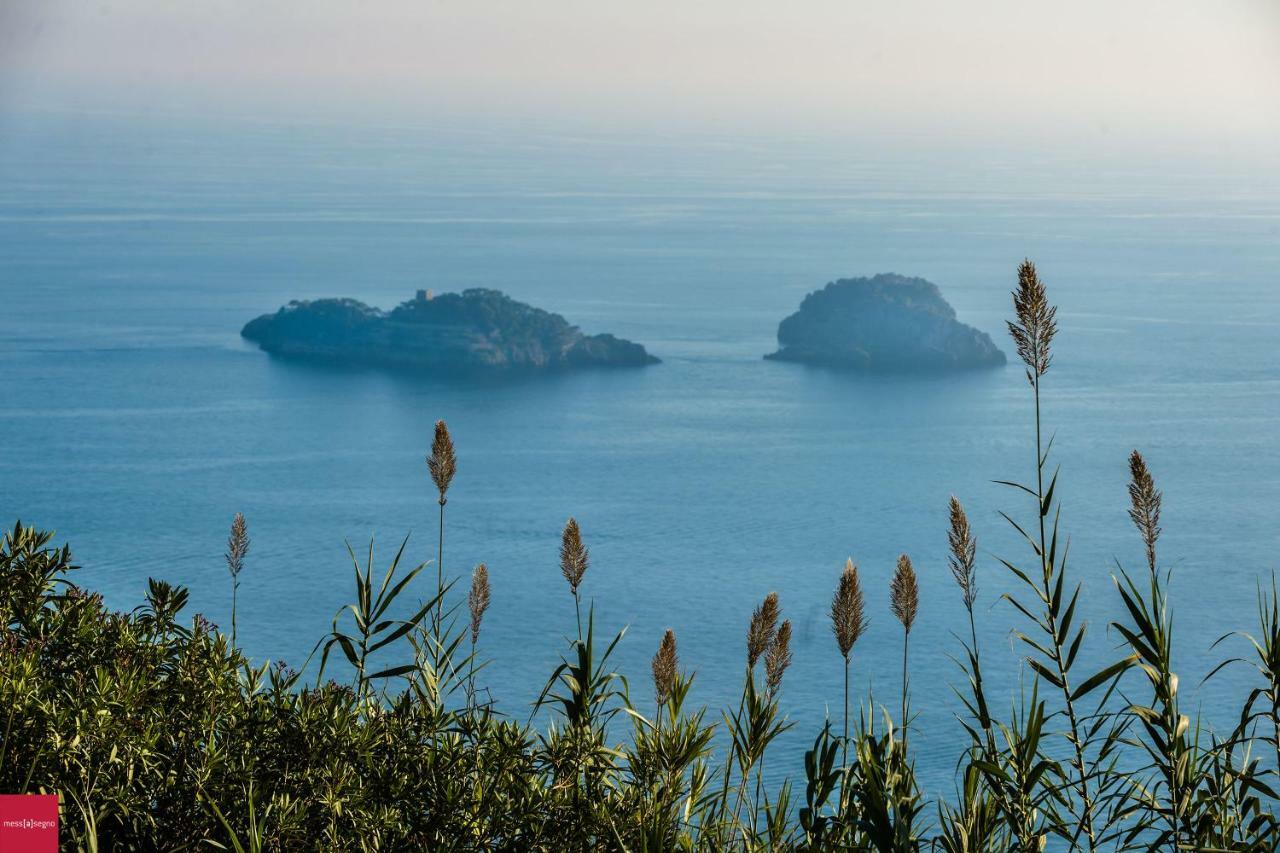 Il Nibbio Daire Piano di Sorrento Dış mekan fotoğraf