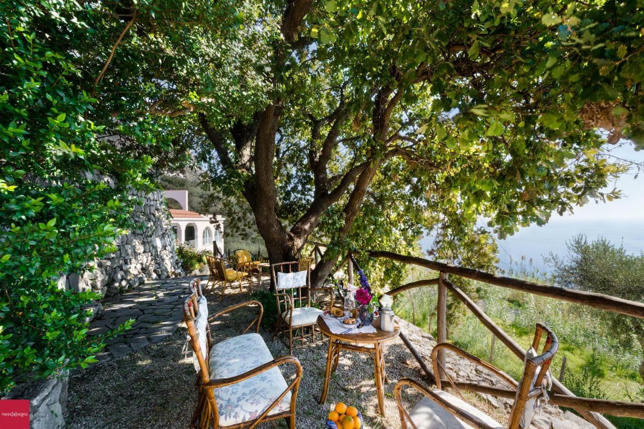 Il Nibbio Daire Piano di Sorrento Dış mekan fotoğraf